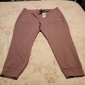 Mauve Jogger Capri 2X